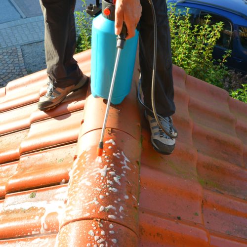 Sprying,Roof,Tiles,With,A,Pressure,Sprayer,And,Algicide,Against