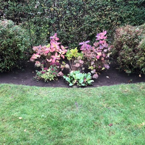 Havehjælp - Boligklar24